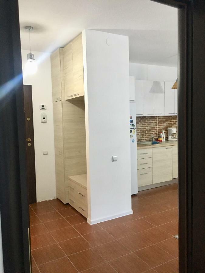 בראשוב Nature View Apartment מראה חיצוני תמונה